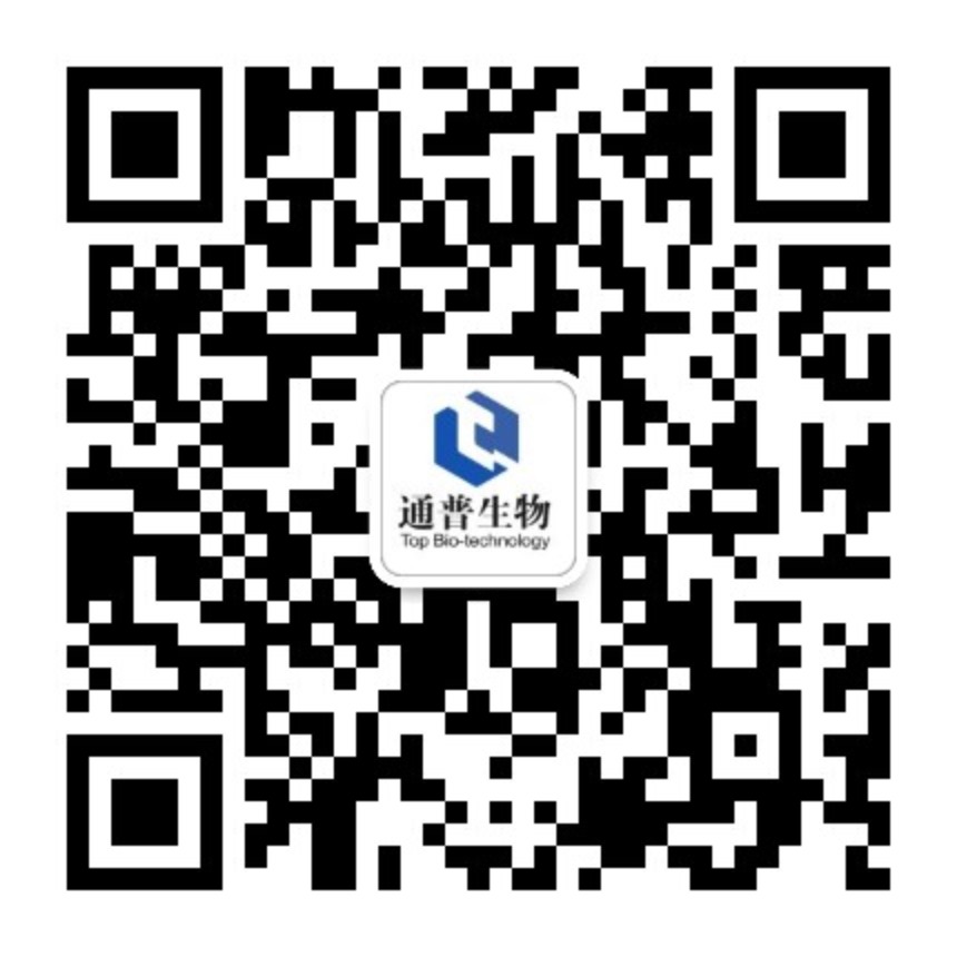 在线客服微信二维码
